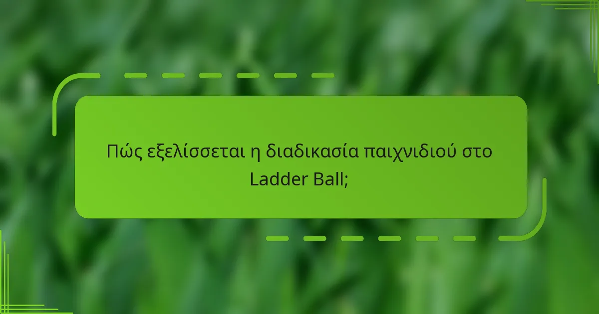 Πώς εξελίσσεται η διαδικασία παιχνιδιού στο Ladder Ball;