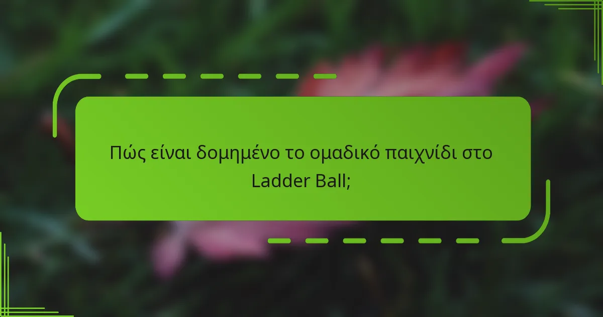 Πώς είναι δομημένο το ομαδικό παιχνίδι στο Ladder Ball;